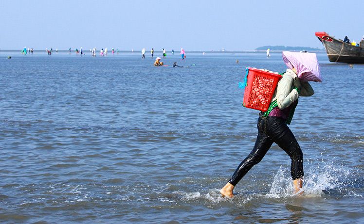 KHU DU LỊCH BIỂN CẦN GIỜ